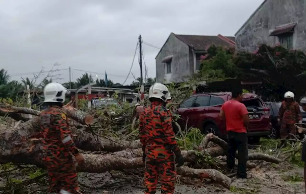 Remaja 14 tahun maut dihempap pokok di Kampung Balok Baru