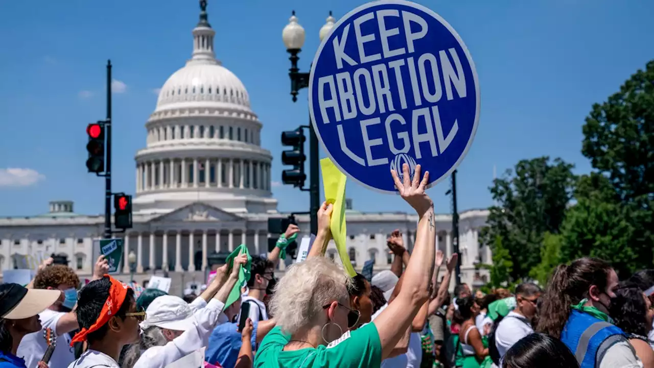 'Dream bigger': How weekend marches keep advocates' fight for Roe v Wade alive on 50th anniversary