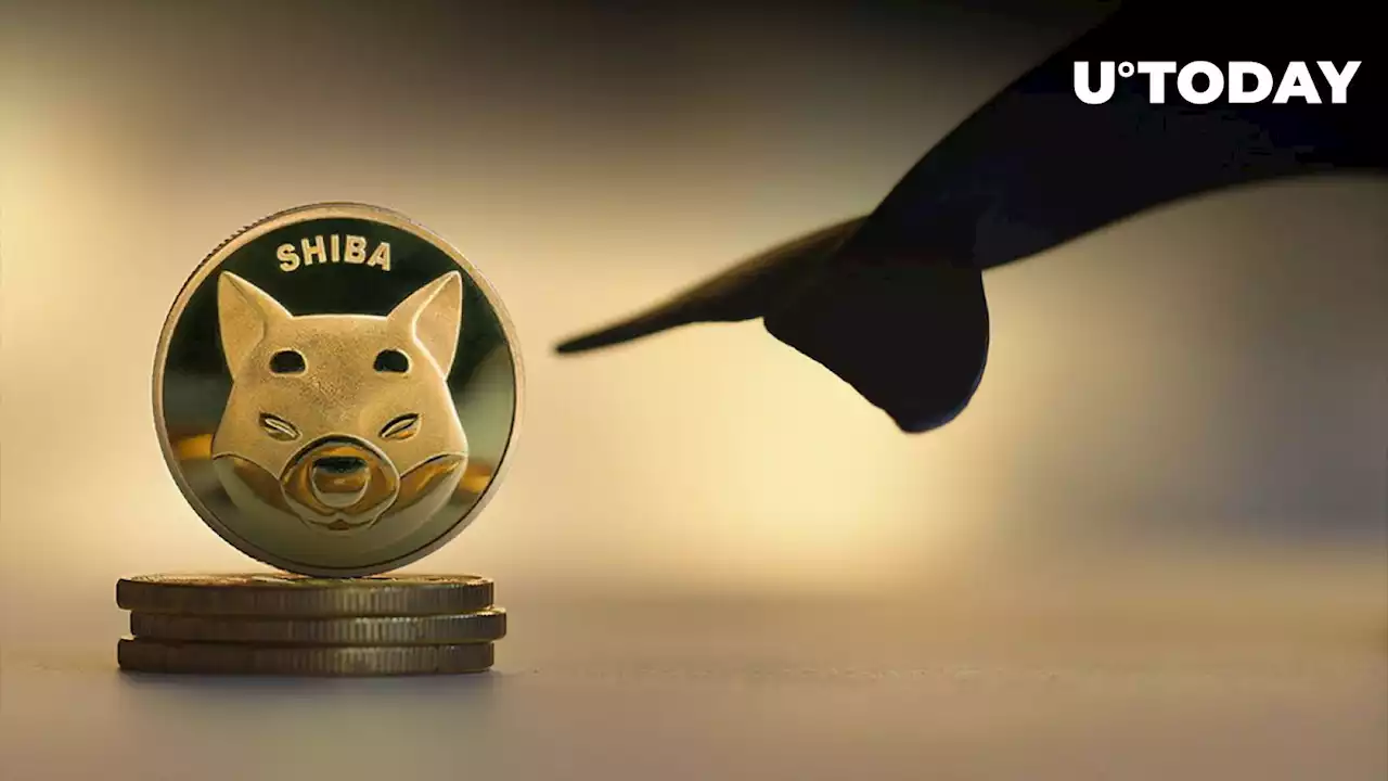 Hundreds of Billions of Shiba Inu Sent to OKEx, But Top Whales Hold Their SHIB Tight