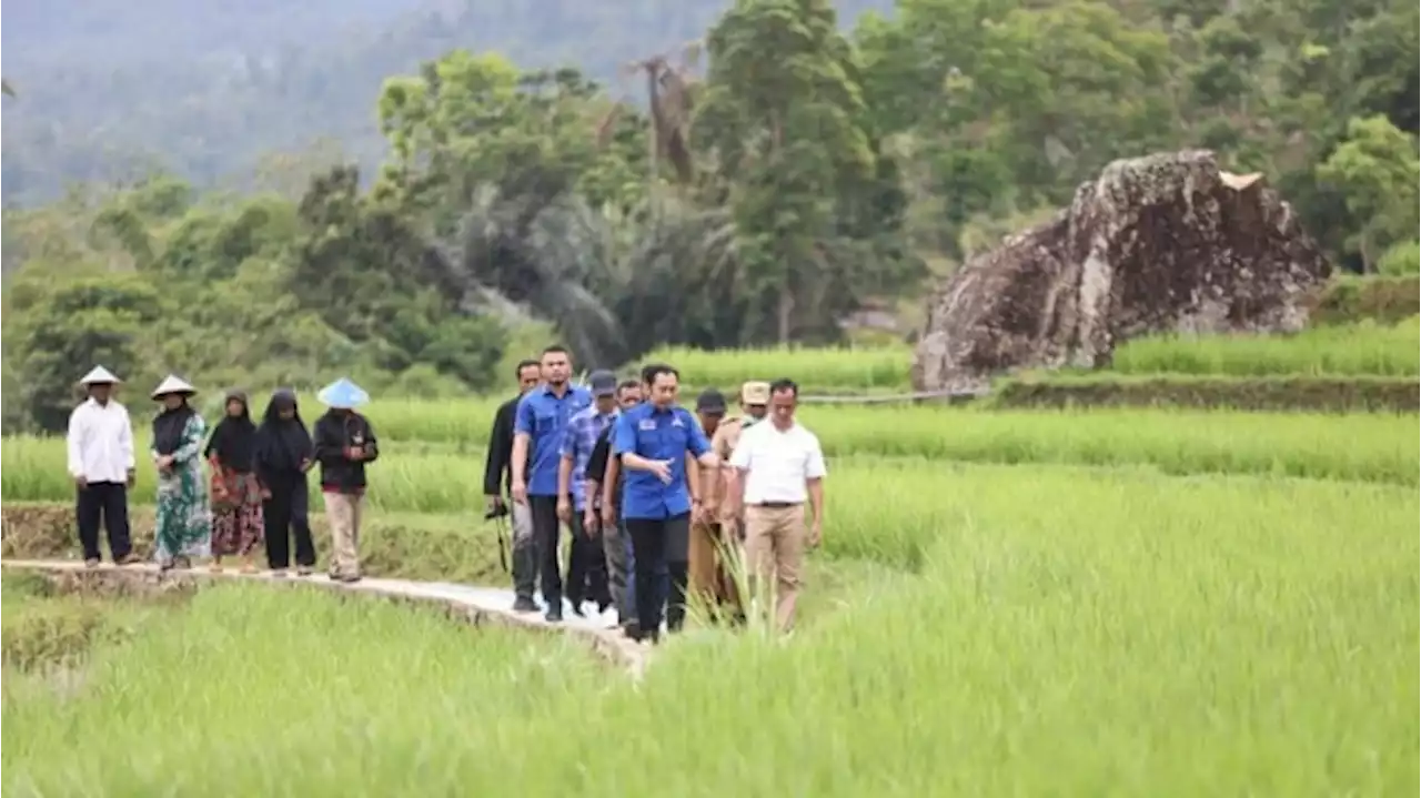 Punya Banyak Potensi, Ibas Ingin Desa Bandar Dikembangkan Jadi Daerah Wisata