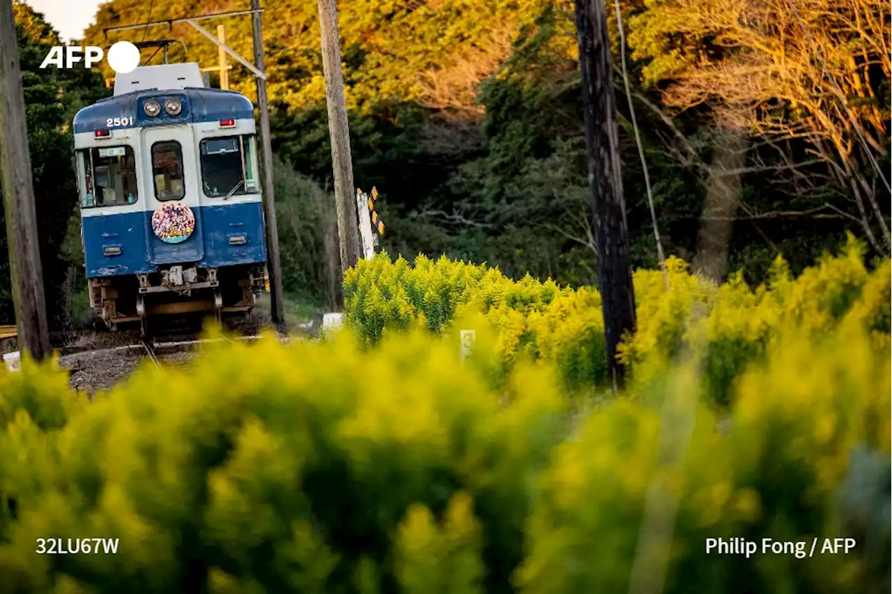 Japon: des lignes ferroviaires en mode survie face au dépeuplement des campagnes