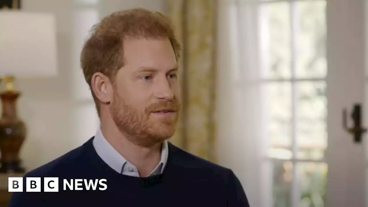 Prince Harry: 'I want my father and brother back'