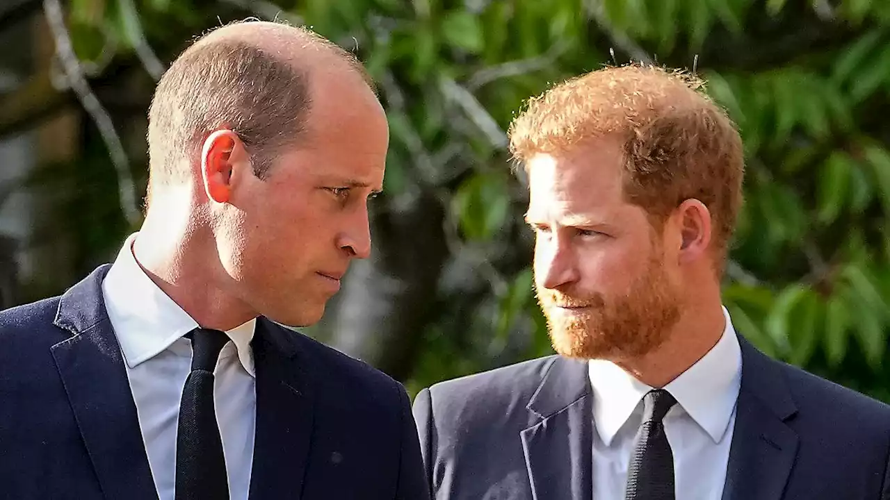 Prinz Harry knöpft sich William vor