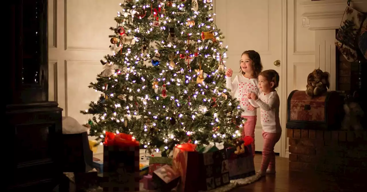 Date to take down Christmas tree as tradition says 'evil spirits' could remain