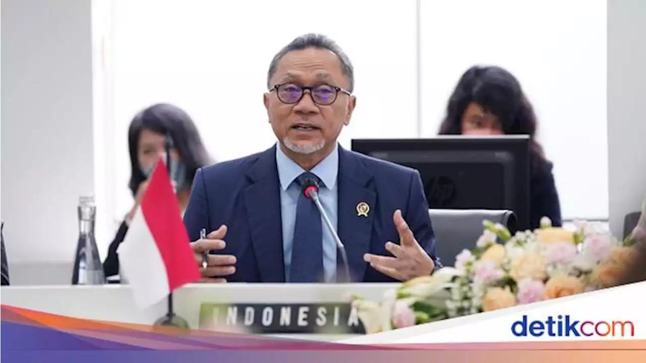 Ekspor Bauksit Bakal Dilarang, Zulhas: Tak Apa Digugat di WTO Lagi