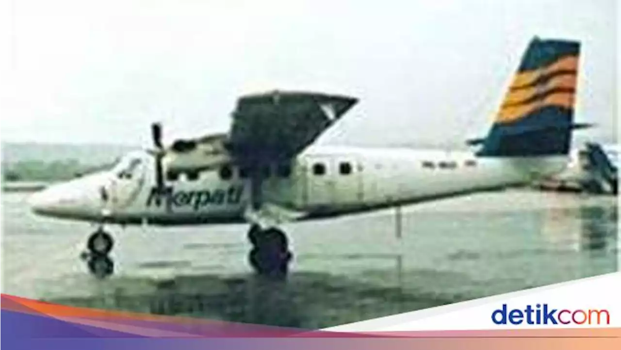 Merpati Ingkar Janji, Tak Akan Terbang Lagi