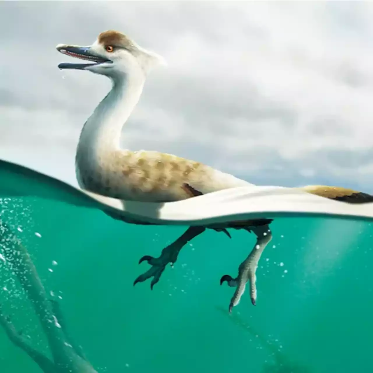 Newly Discovered Dinosaur Likely Resembled a Duck