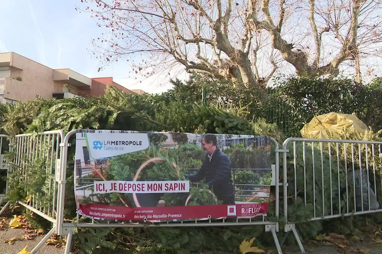 CARTE. Où déposer son sapin de Noël pour le recycler dans la Métropole Aix-Marseille