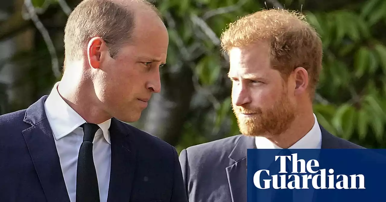 Prince Harry: I would like my father and my brother back