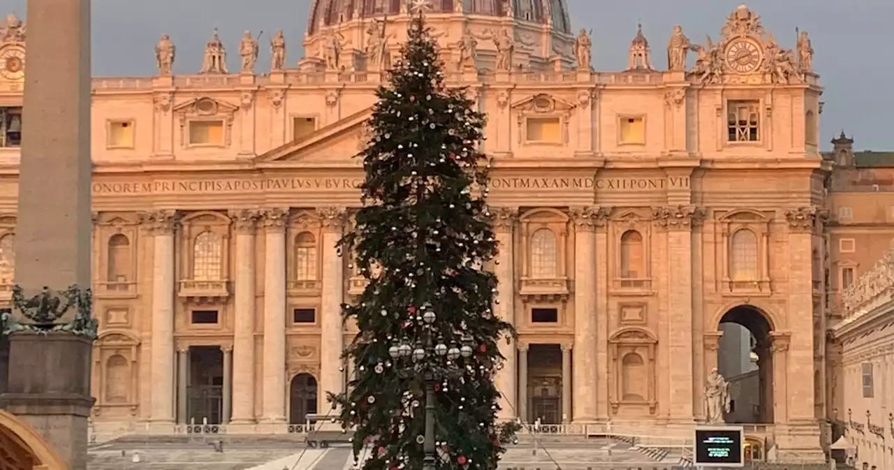 A San Pietro, per l'ultimo saluto a Benedetto XVI