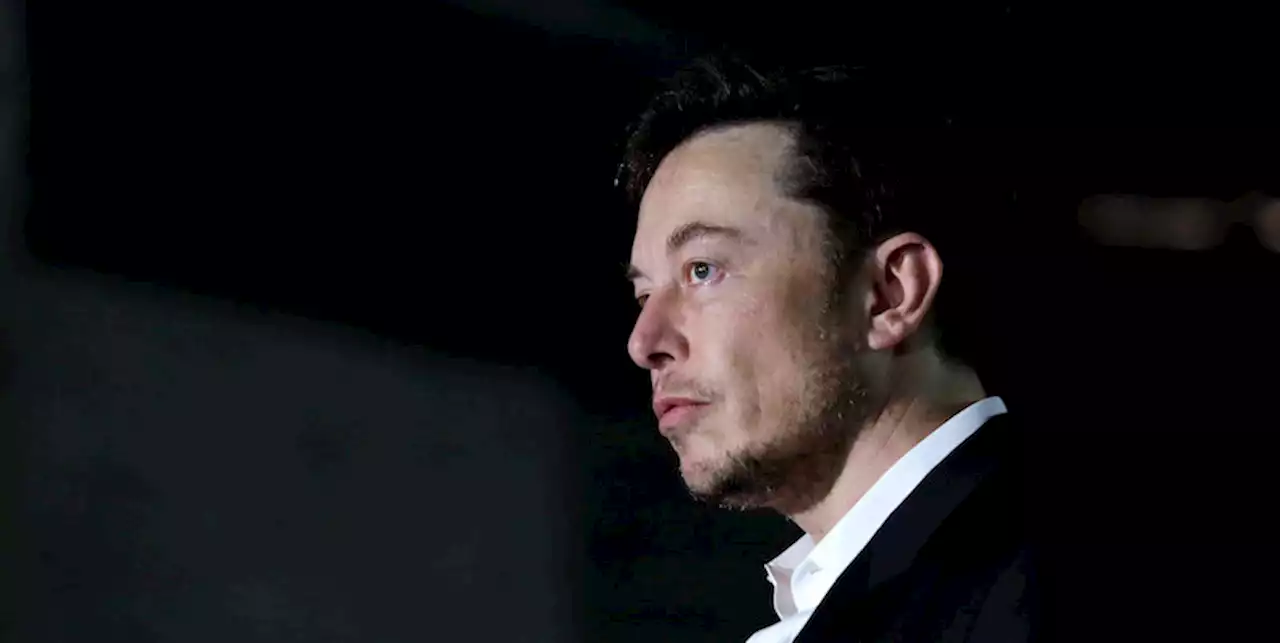 Il problema che Elon Musk si è creato da solo - Il Post