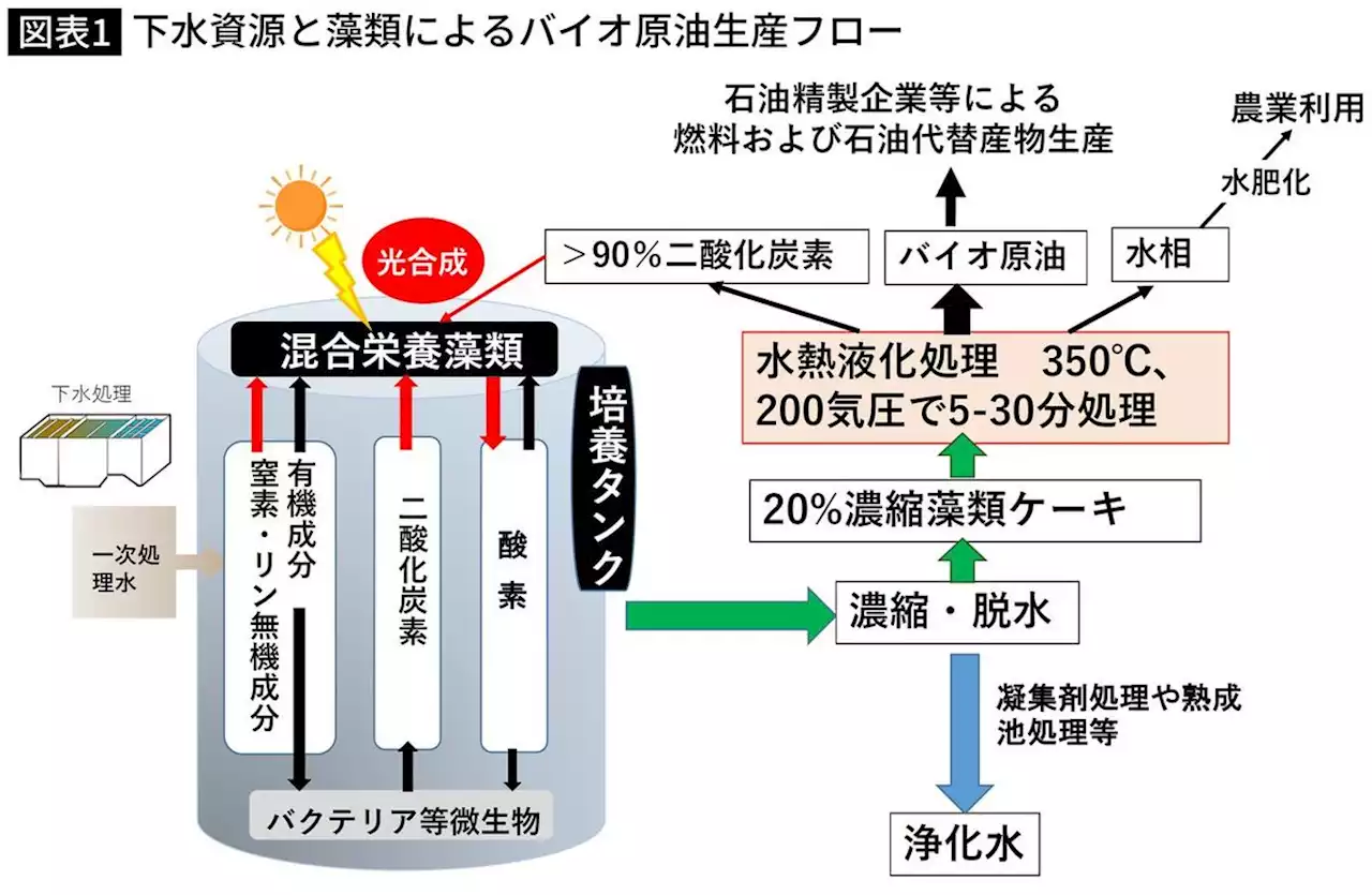 ついに国の予算がついた…藻類バイオマスエネルギーで日本が本当に産油国になる日 - トピックス｜Infoseekニュース