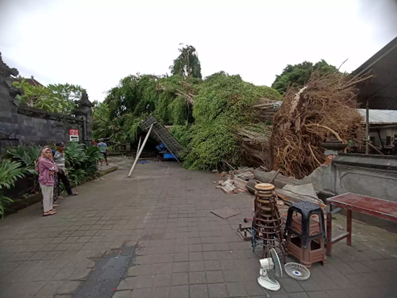 Ngeri! Bali Dilanda Bencana Hidrometeorologi, Pohon Tumbang, Atap Beterbangan