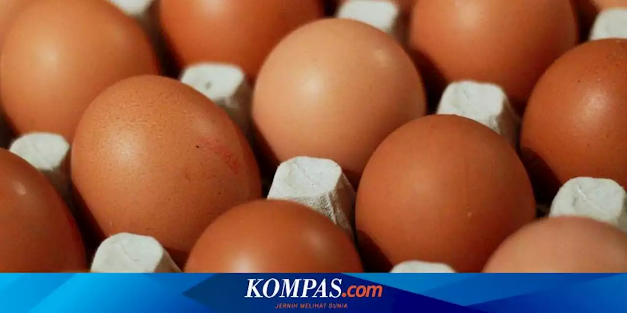 Bisakah Menyimpan Telur di Freezer? Ini Penjelasannya