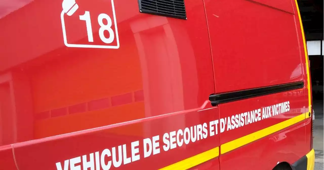 Nîmes : un homme gravement blessé après une collision entre une voiture et un sanglier