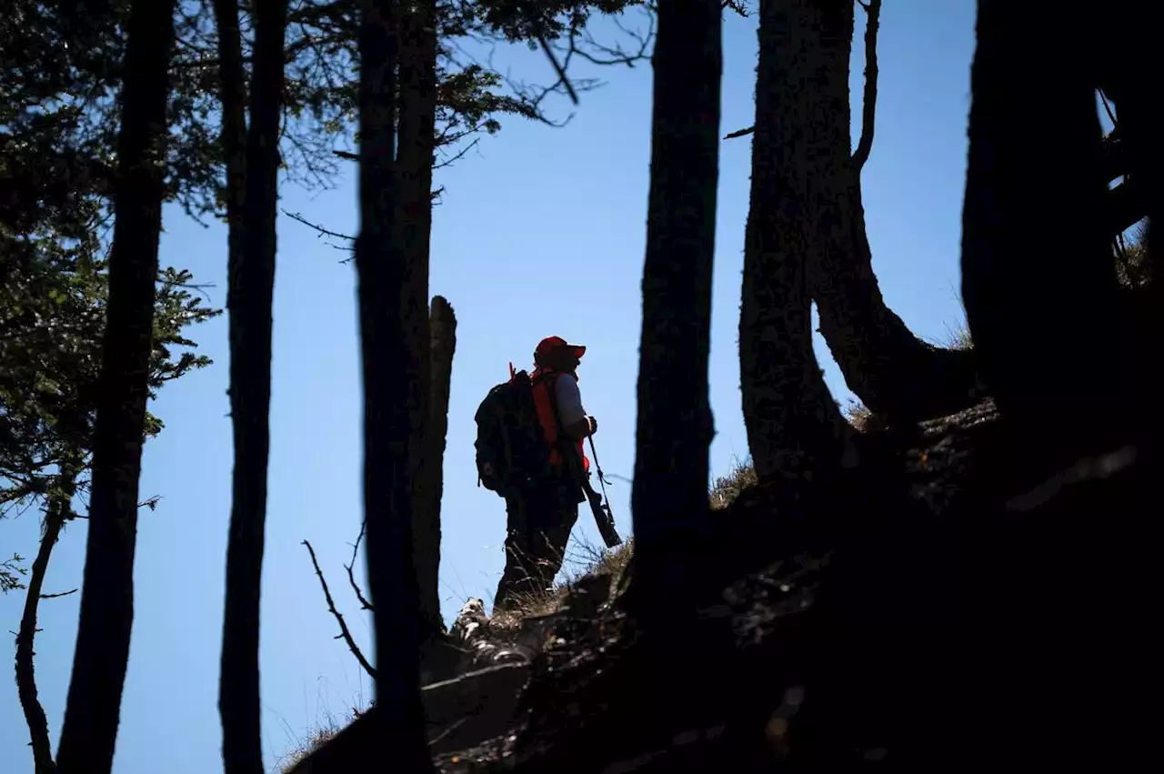 Près de 4 Français sur 5 favorables à l’interdiction de la chasse le dimanche