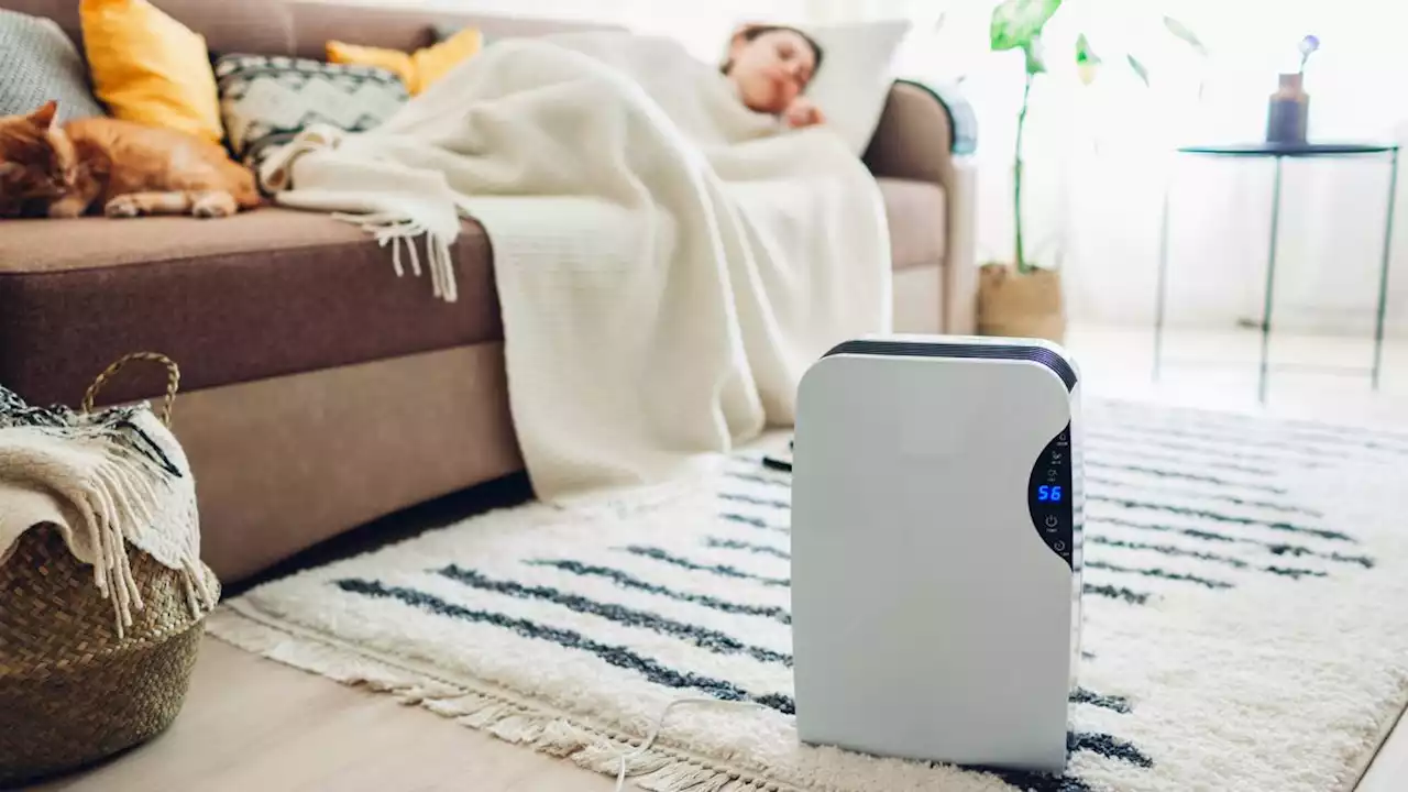 Best dehumidifiers 2023: Fight mold, unwanted odors and condensation