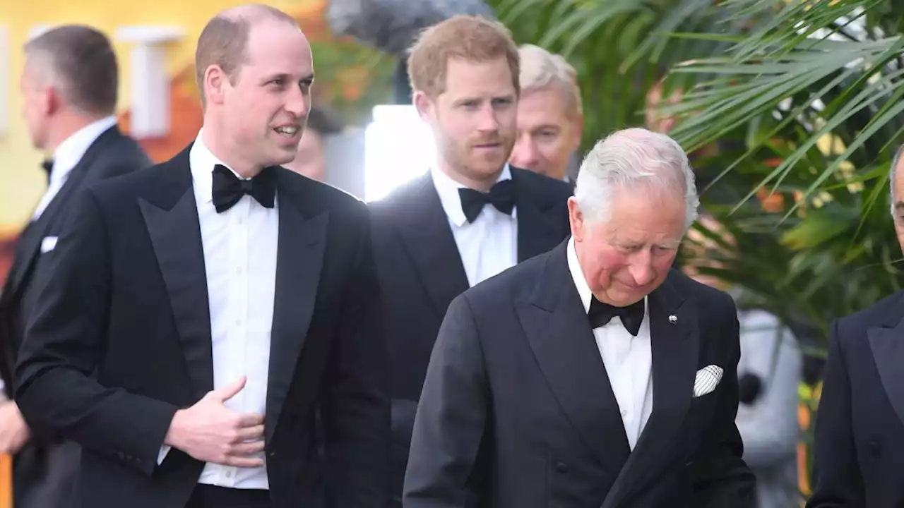 Prince Harry Says He Wants His Father and Brother Back in New Teaser for ‘Spare’ Interview