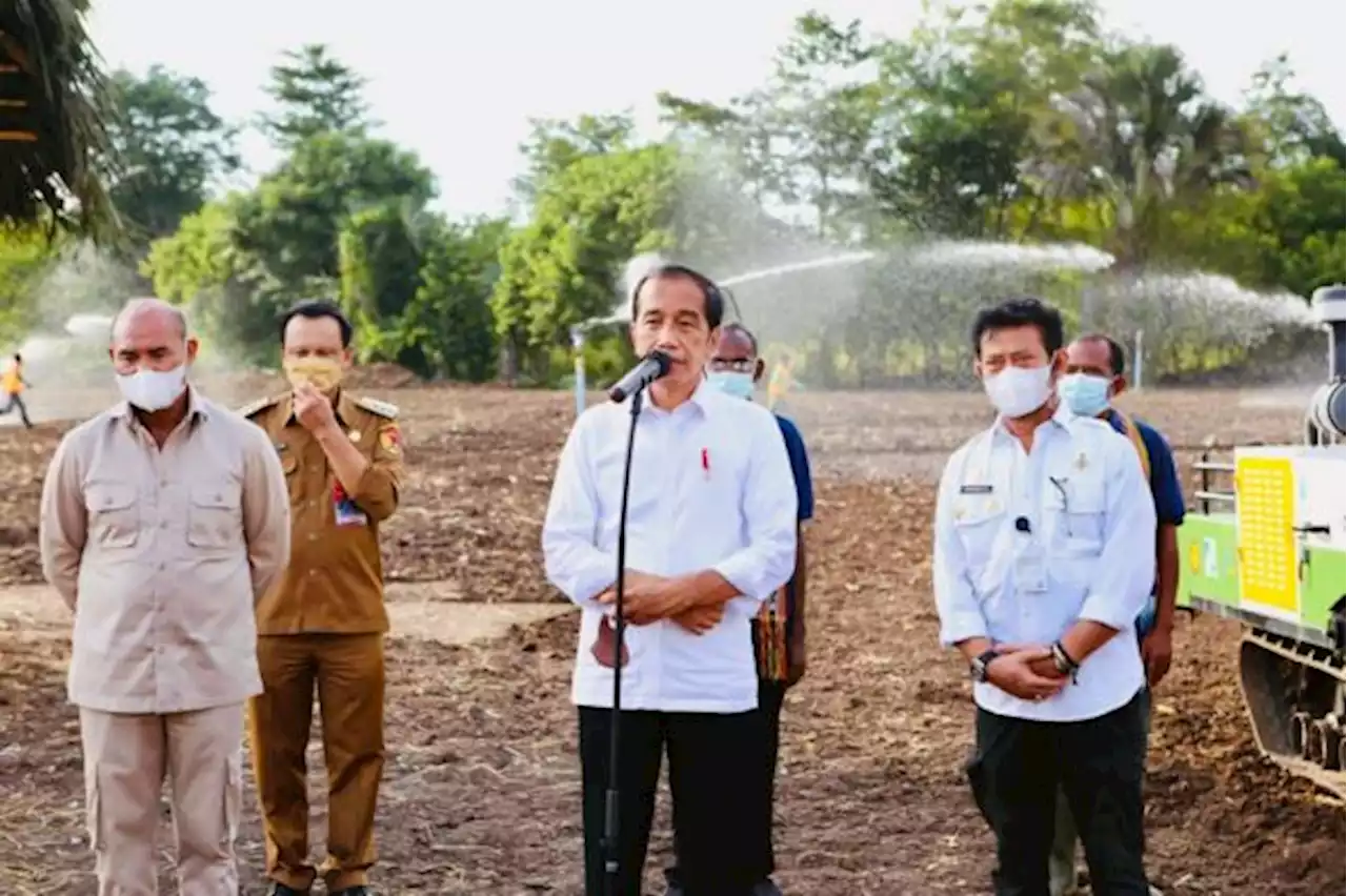 Jokowi dan Syahrul Sudah Lama Bekerja Sama Hingga Terjalin Persahabatan