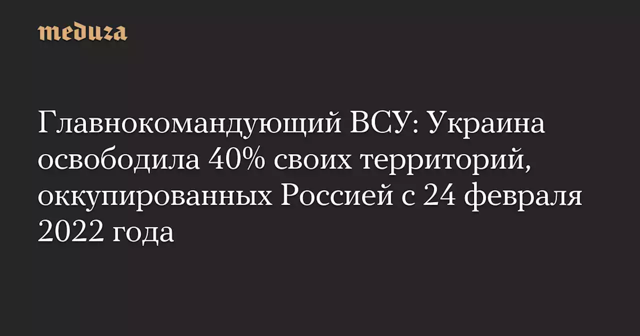 Главнокомандующий ВСУ: Украина освободила 40% своих территорий, оккупированных Россией с 24 февраля 2022 года — Meduza