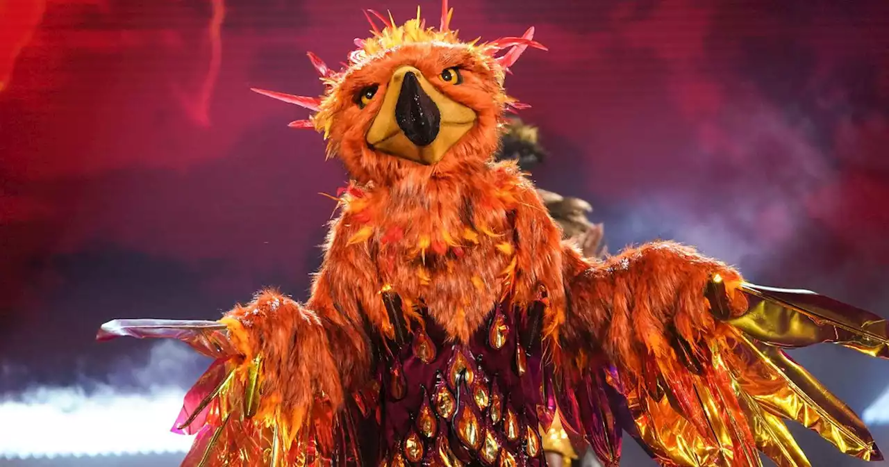 The Masked Singer viewers are certain that masked character is Dr Who icon