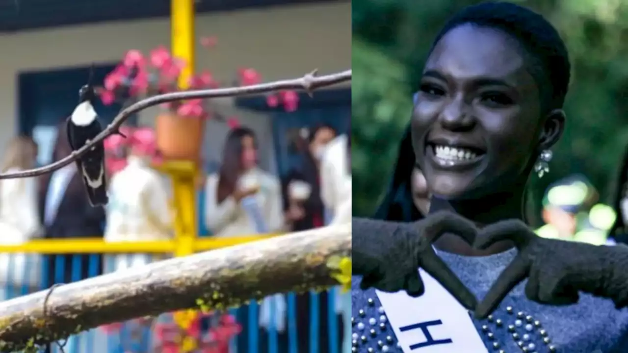 [FOTOS] Manizales inició su Feria: Candidatas del Reinado Internacional del Café hicieron sentido recorrido