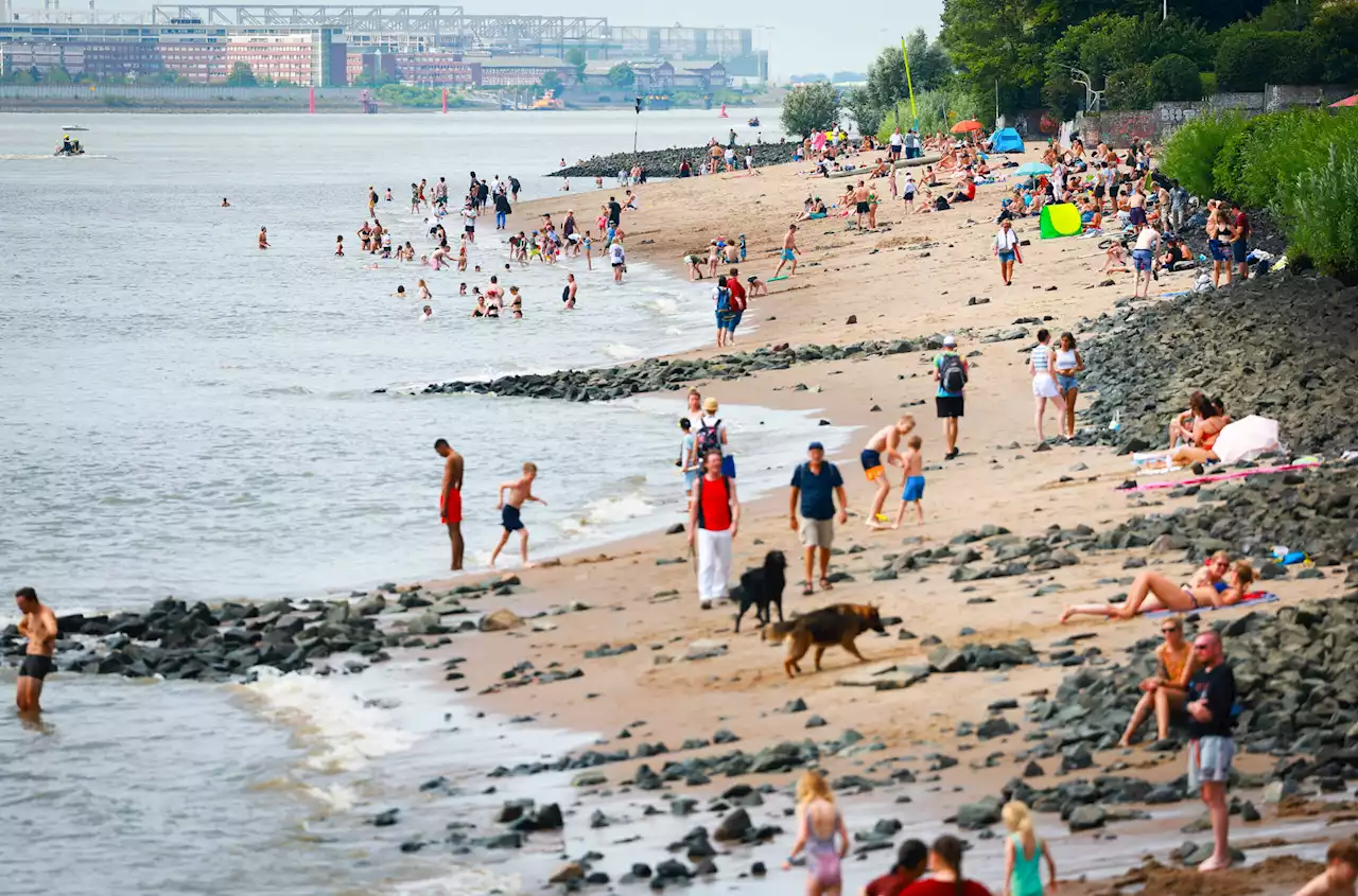 Wetter-Experte über extreme Hitze: Warum Hamburg einen Vorteil hat