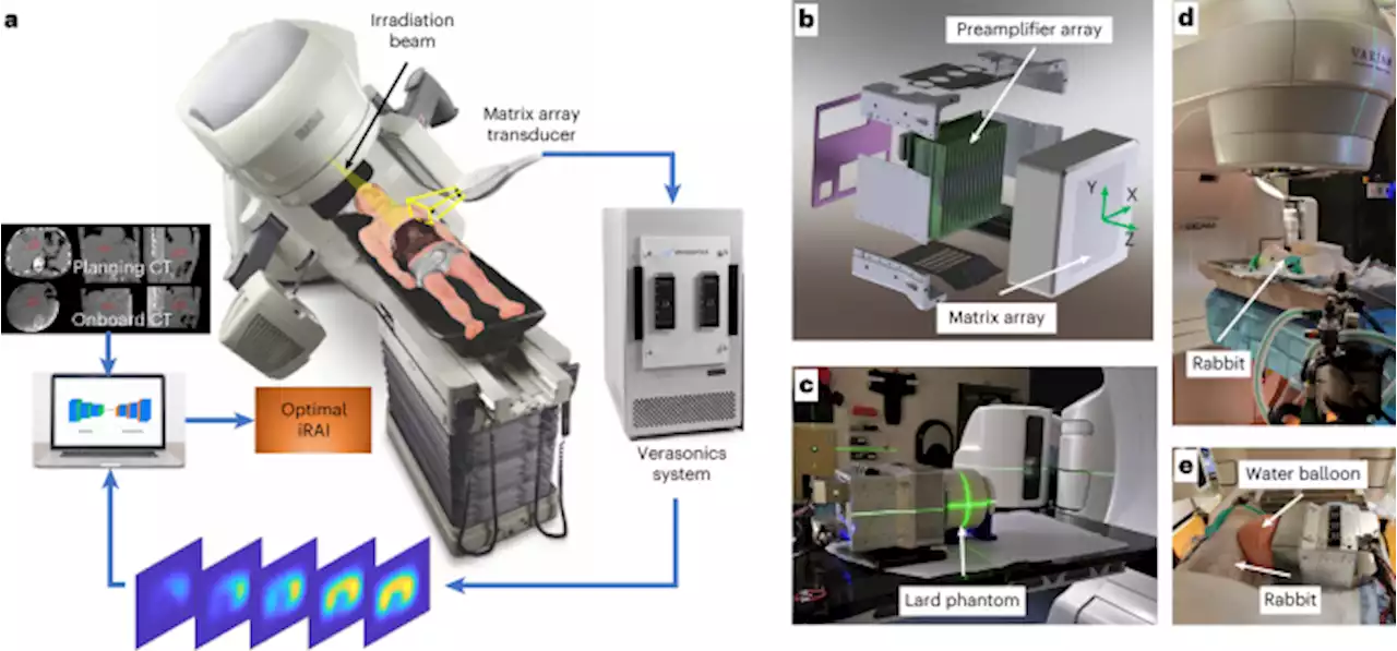 Real-time, volumetric imaging of radiation dose delivery deep into the liver during cancer treatment - Nature Biotechnology