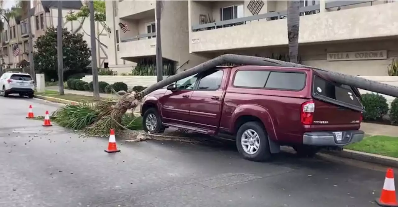 Flooding, Storm Damage Follow All That Rain in San Diego