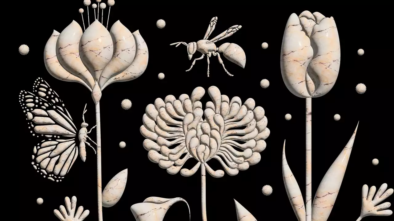 The Fossil Flowers That Rewrote the History of Life