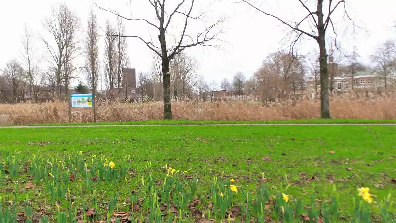 We starten 2023 met warmterecords: 'Natuur denkt dat voorjaar eraan komt'