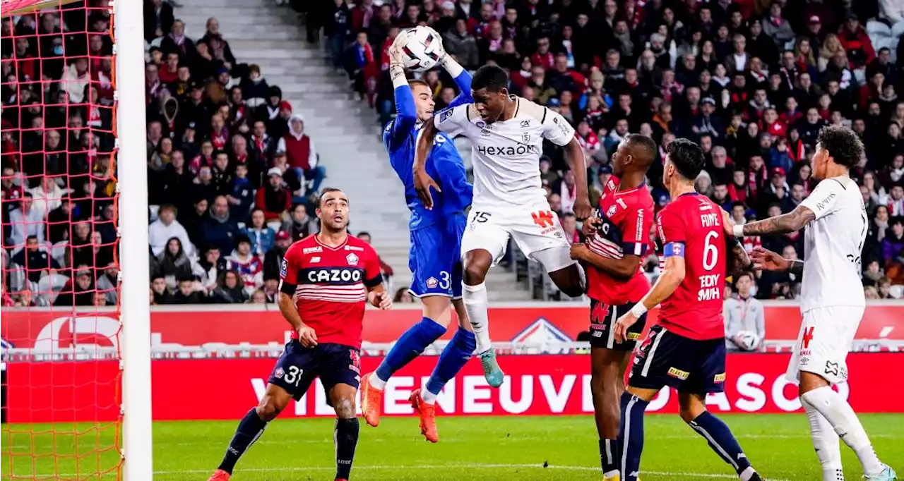 🚨 Lille – Reims : le LOSC gâche, se fait rejoindre et perd de précieux points !