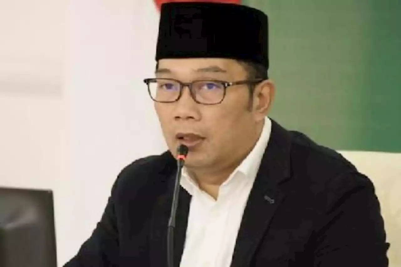 Luncurkan Moyanvet, Ridwan Kamil Ingin Jabar Swasembada Protein - Pikiran-Rakyat.com