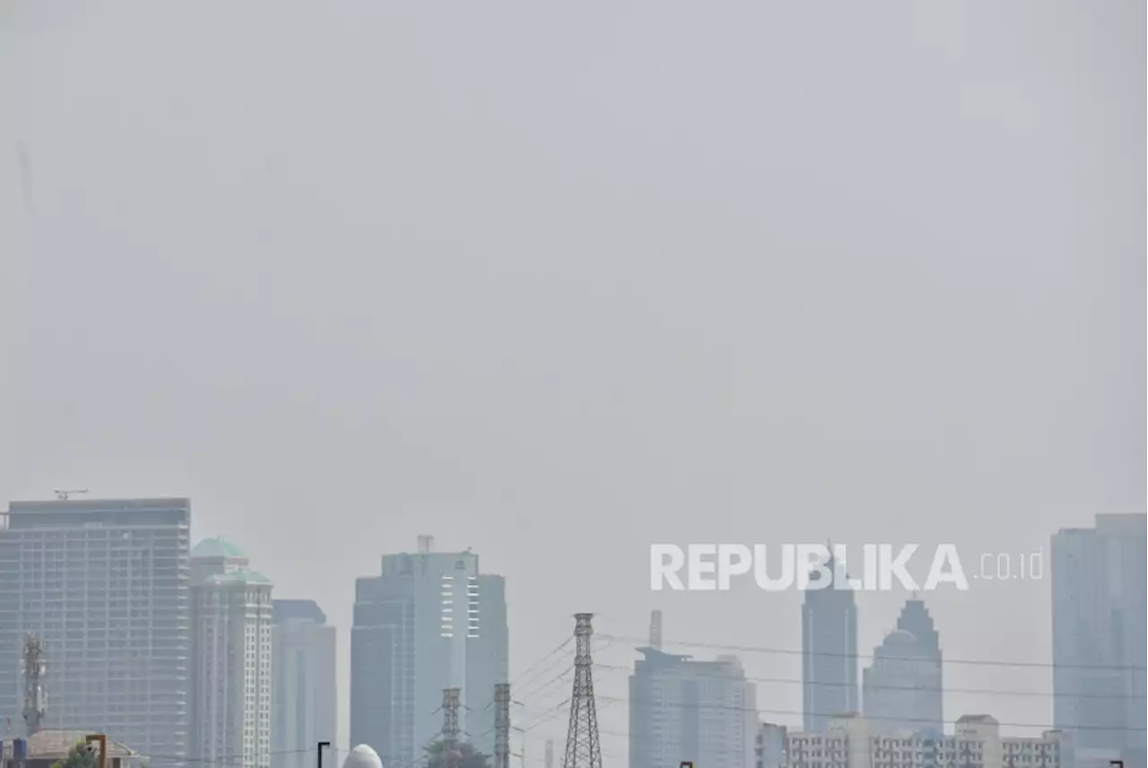 Lima Makanan yang Bisa Menangkis Dampak Buruk Polusi |Republika Online