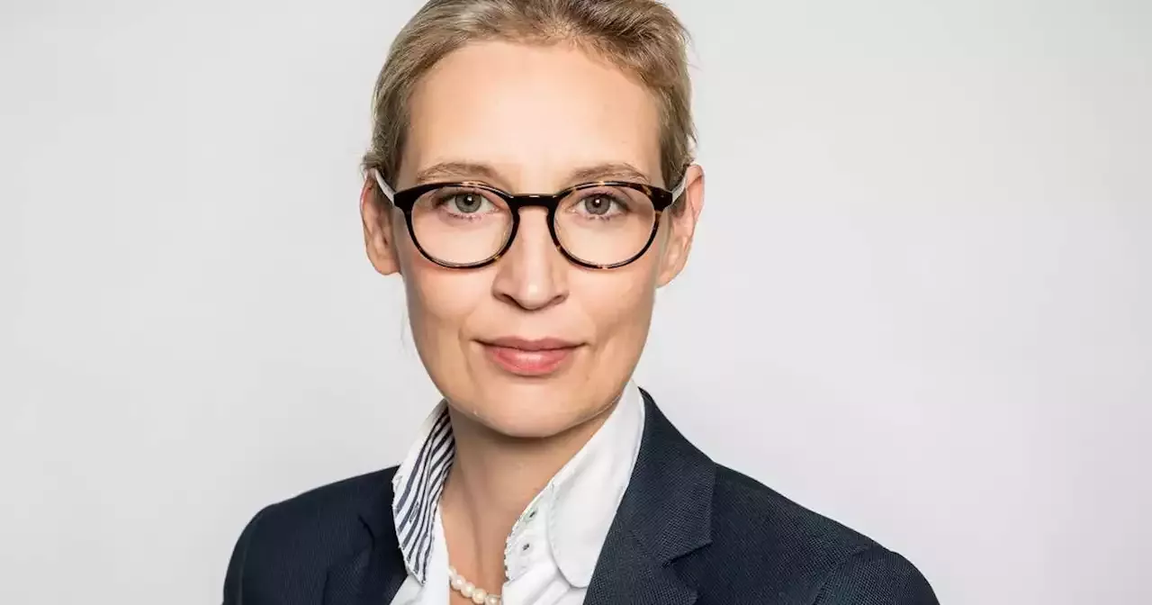 “Absolut Realistisch“: AfD-Parteichefin Weidel Sieht 2024 Chance Aufs ...