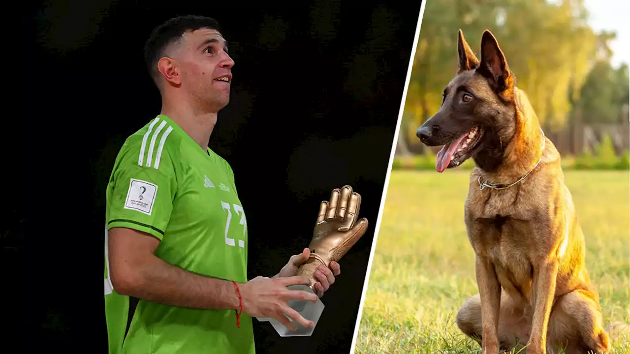 Technique radicale: le gardien de l'Argentine s'est offert un berger malinois... pour protéger ses trophées