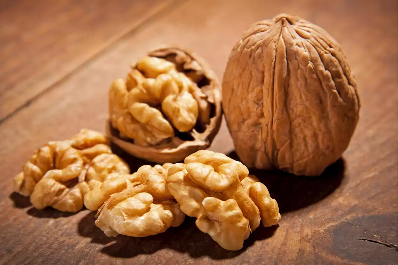 Walnuts: Ideal Brain Food for Stressed University Students?