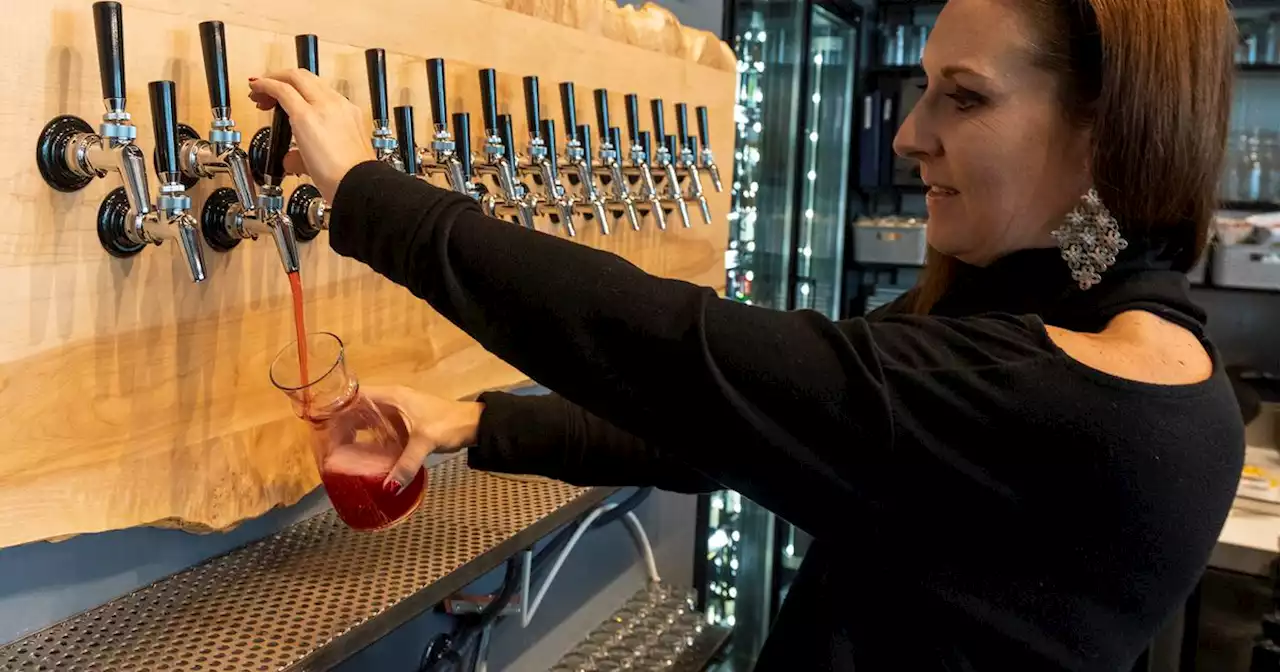 Despite Utah’s weird liquor laws, we now have one of the handful of hard cider bars in America — and there’s 250 ciders to choose from