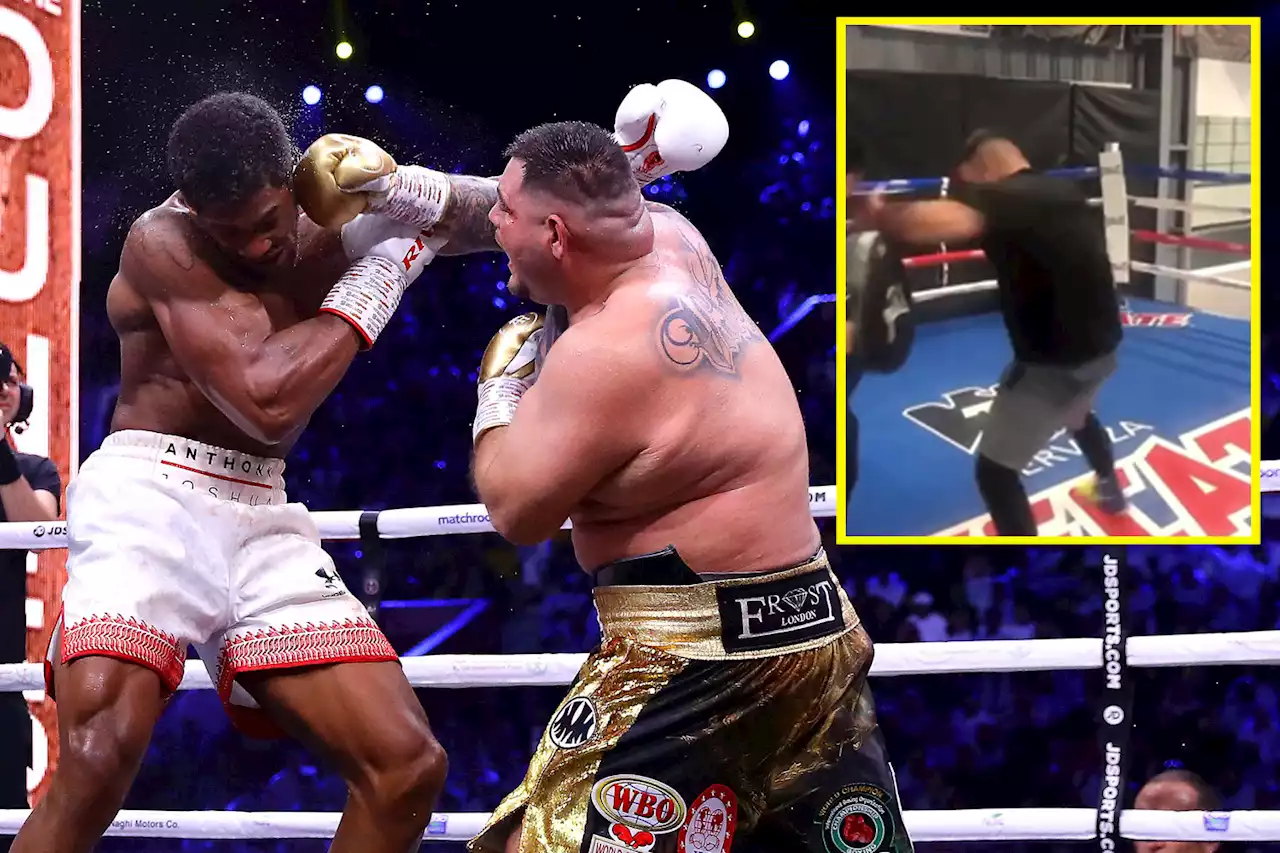 Ruiz caught his trainer with accidental punch and he took it better than Joshua