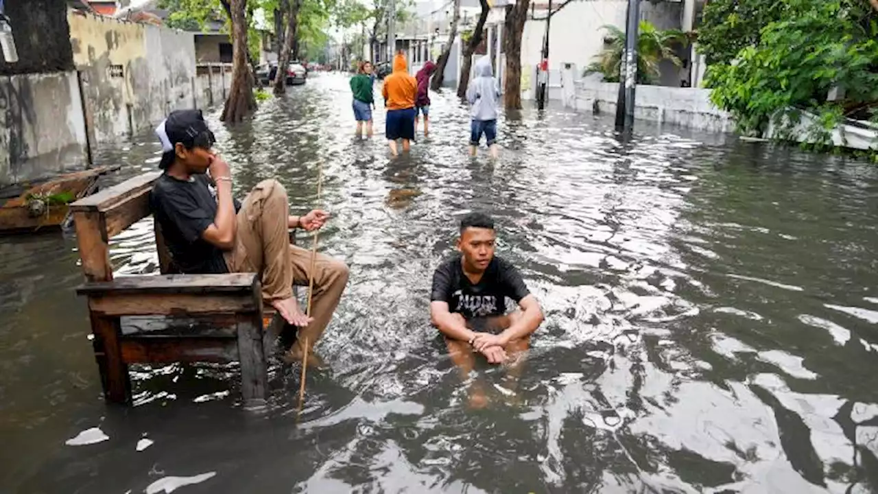 Banjir Jakarta Utara Rendam Wilayah Semper Barat dan Dukuh Barat