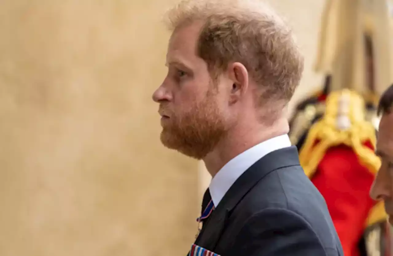 Prince Harry tells TV interviewer he wants his father and brother back