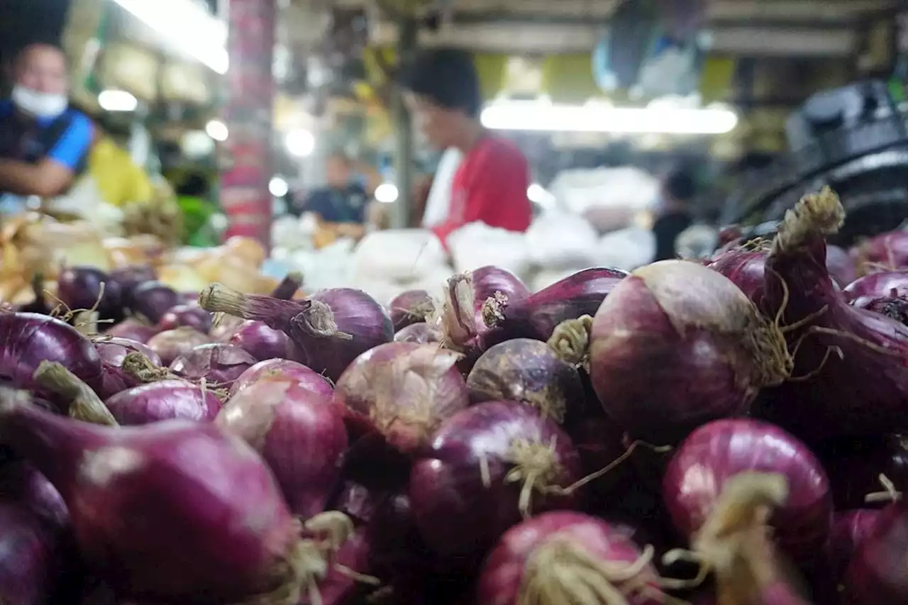 Retail price of onions remains high despite P250 SRP