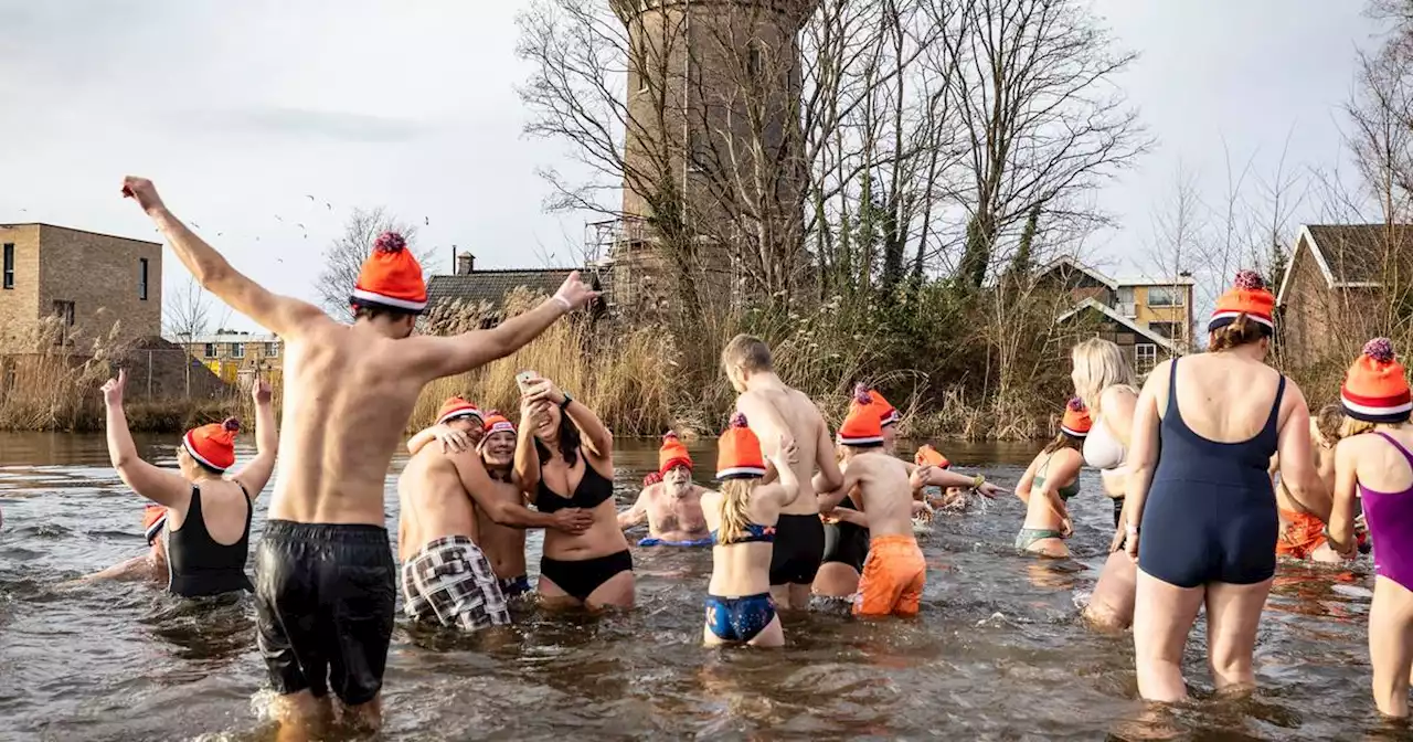 Alsnog de vijver in, ondanks ‘nee’ van de gemeente Hengelo: fanatiekelingen nemen nieuwjaarsduik in Watertorenpark