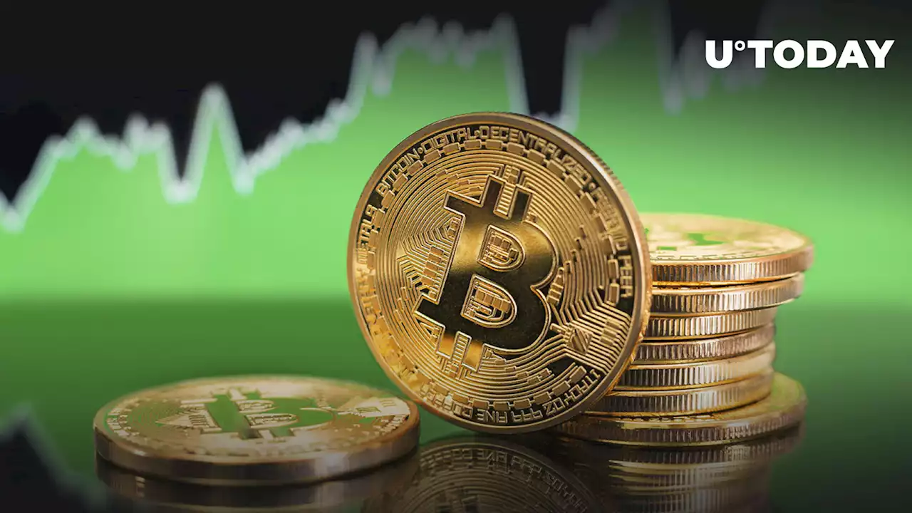 Bitcoin Price May Surge Within Six Months, Crypto Capital Venture Founder Explains Why