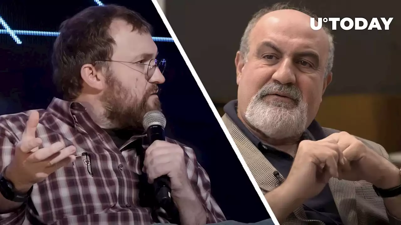 Cardano Founder Criticizes Nassim Taleb, Here's Why