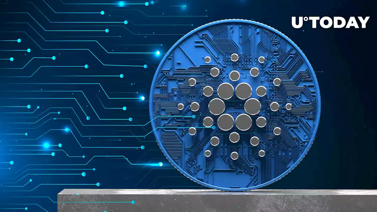 Cardano's DeFi Industry Might Grow Substantially in 2023, Here's How