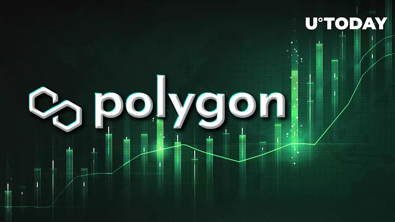 Polygon (MATIC) Price Goes Green as Whales Buy Dip: Details