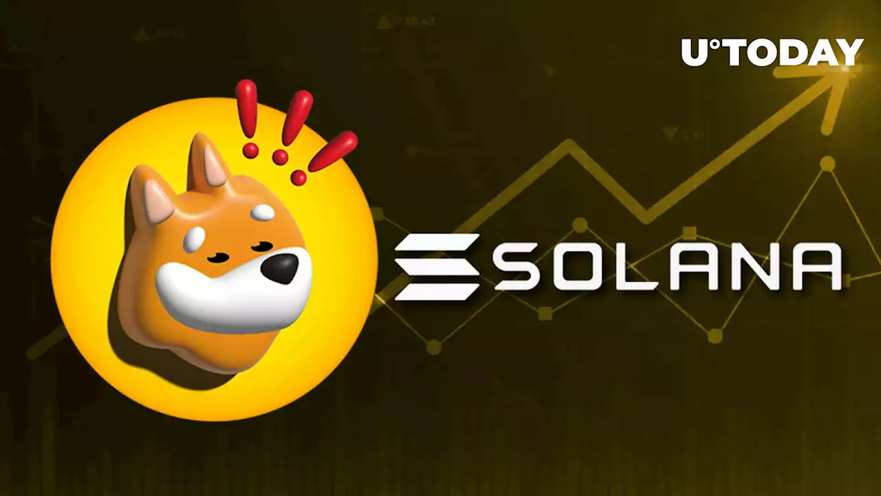 SOL Up 13% as Hype Around Solana's Meme Coin Breaks Out