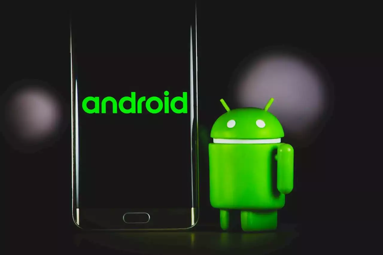 Android 13 n'a conquis que 5% de smartphones en cinq mois