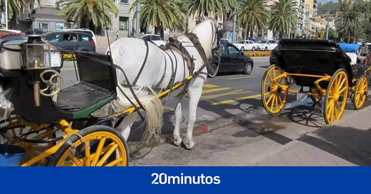 La controversia de los coches turísticos tirados por caballos en España